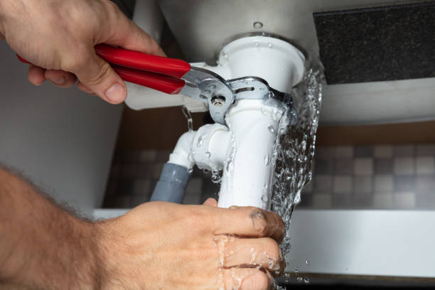 Best Water damage cleanup near me  in Portola, CA