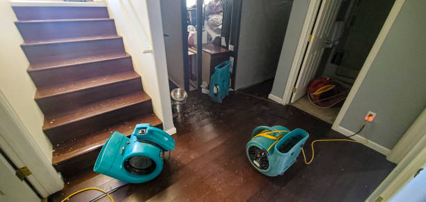  Portola, CA Water damage restoration Pros