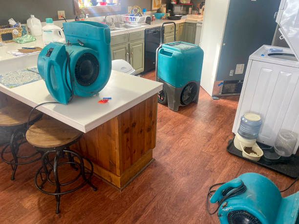 Best Residential water damage restoration  in Portola, CA