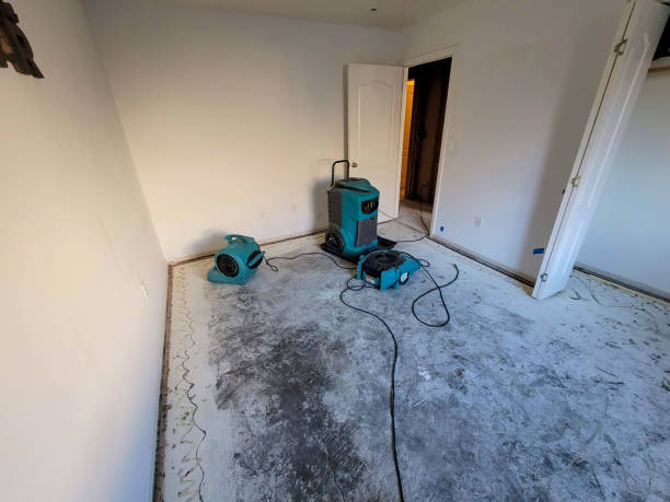Best Ceiling water damage repair  in Portola, CA