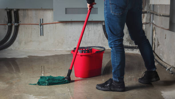 Best Sewage cleanup and water damage restoration  in Portola, CA