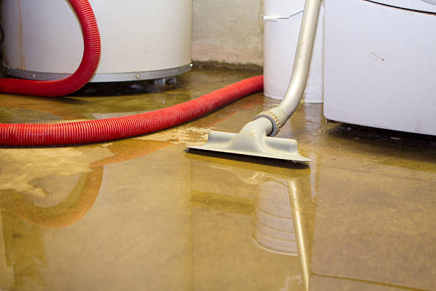 Best 24/7 water damage repair  in Portola, CA