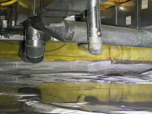 Best Water damage restoration near me  in Portola, CA