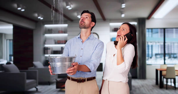 Best Water damage restoration near me  in Portola, CA