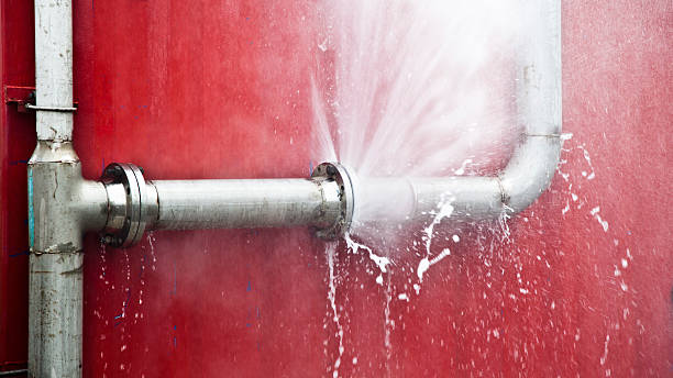 Best Water damage restoration mold remediation  in Portola, CA